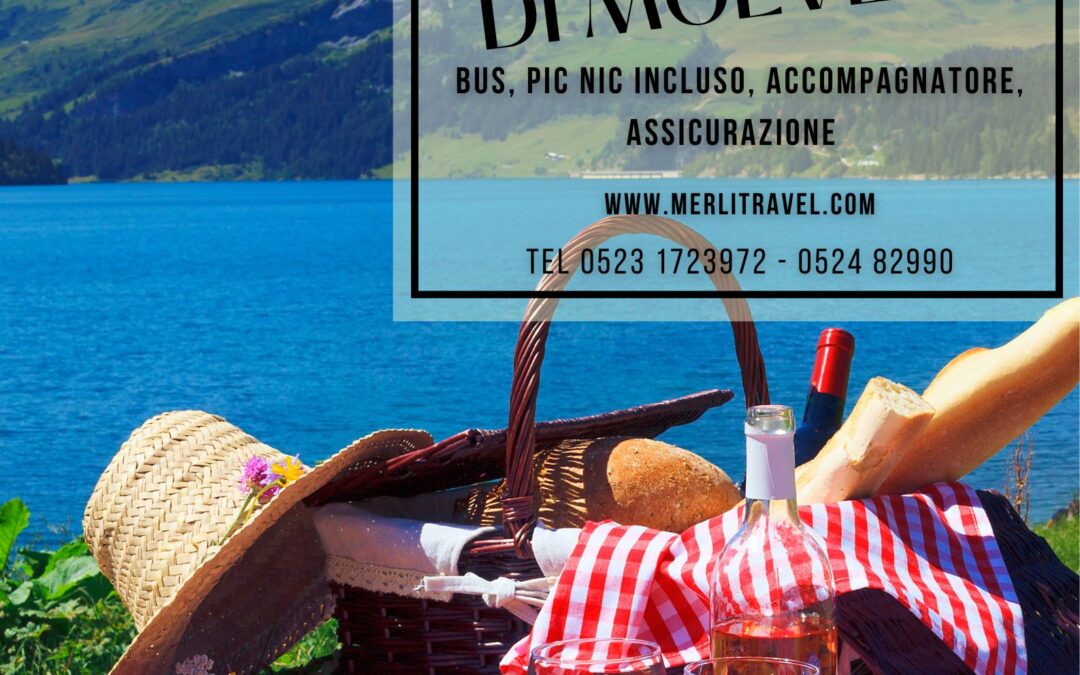 PIC NIC AL LAGO domenica 31 agosto