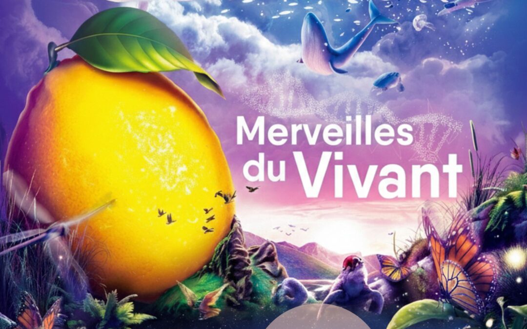 FESTA DEL LIMONE DI MENTONE domenica 22 febbraio